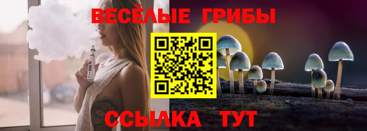 Нововоронеж  Галлюциногенные грибы Magic Shrooms  Псилоцибиновые грибы GOLDEN TEACHER  Вход с VPN 