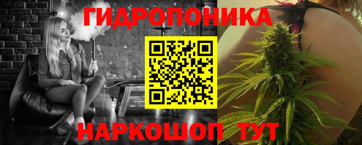 Канабис Bruce Banner  Каннабис марихуана  Каннабис конопля  Нововоронеж  Вход с VPN  Канабис марихуана 