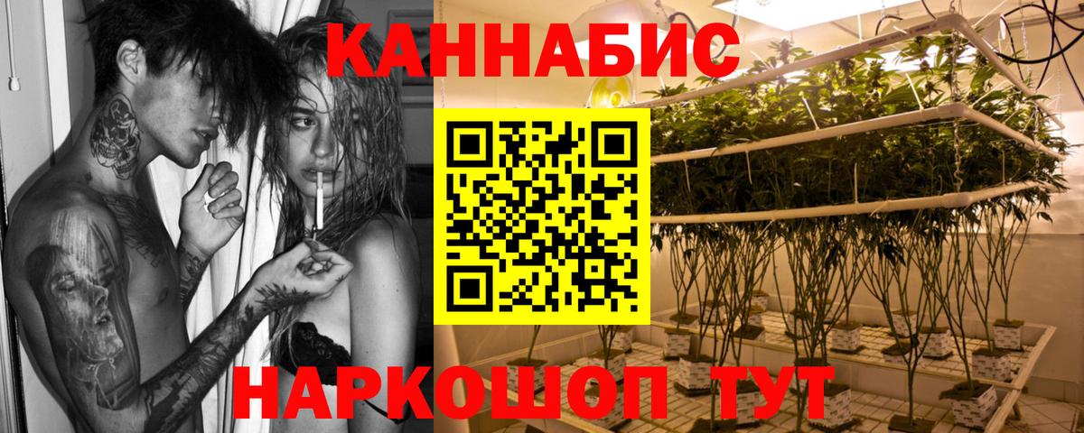Канабис ГИДРОПОН Нововоронеж